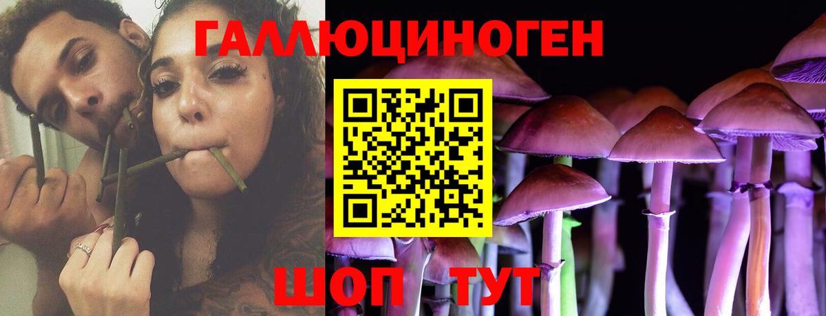 Галлюциногенные грибы Psilocybine cubensis Троицк